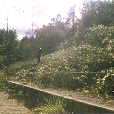 Front Stretch Grandstands at Occoneechee circa 1988