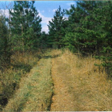 Back Stretch at Occoneechee circa 1988