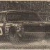 Cougar in Citrus 250