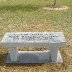 North Wilkesboro Speedway Bench