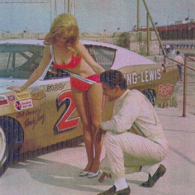 29 bobby allison