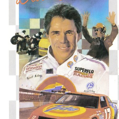 waltrip17-vi