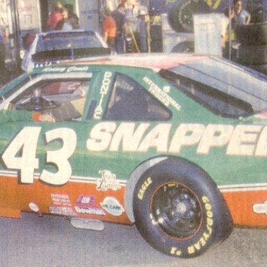 Rodney Combs busch series