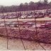 Charleston SC Speedway 1976