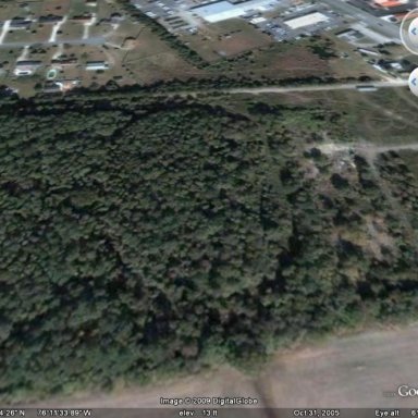 DogTrackSpeedway