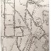 savannahracesql2
