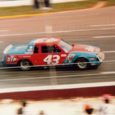 #43 1981 Old Dominion 500