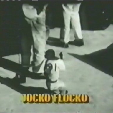 Jocko1
