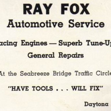 rayfox-vi