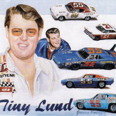 tinylund-vi
