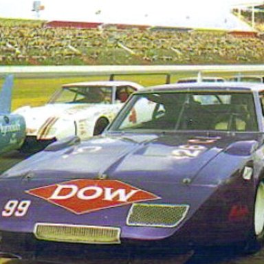 daytonasandsuperbirds-vi