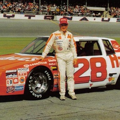 cale28-vi