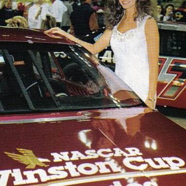 MISSWINSTON-vi