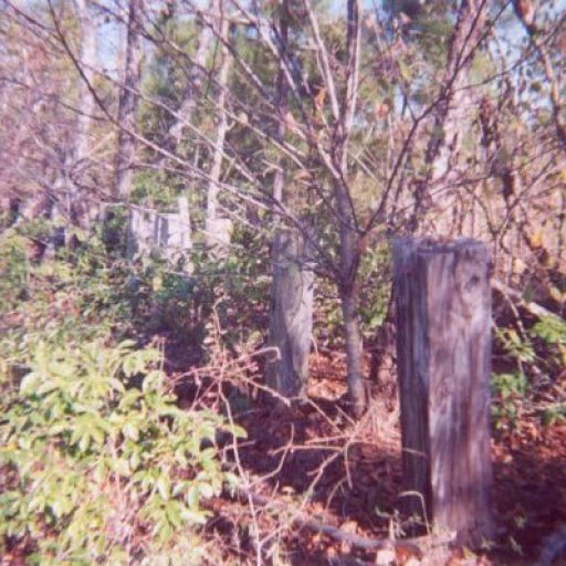 temp_ning_photo_file.jpg
