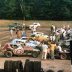 Weedsport pits