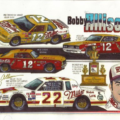 Bobby Allison artwork