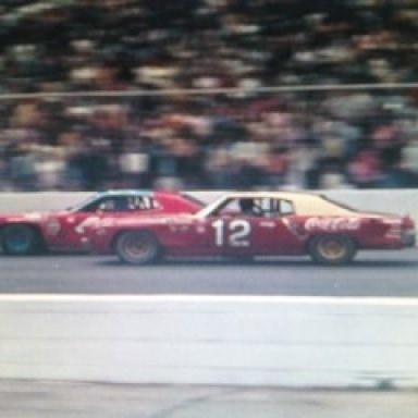 Richard Petty- Bobby Allison