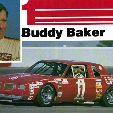 buddy1-vi2
