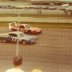 David Pearson and Bobby Isaac