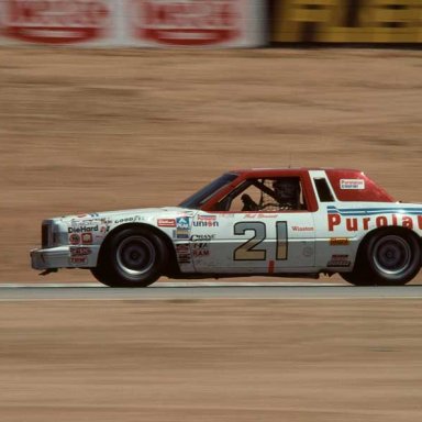 1981 NEIL BONNETT