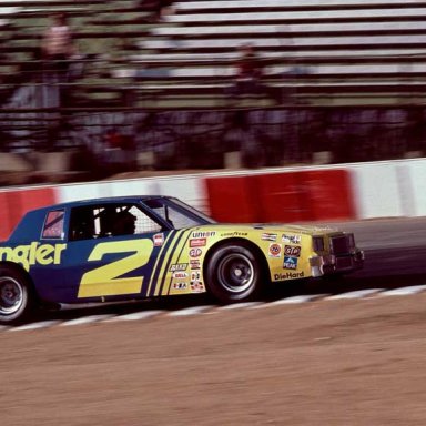 1981 EARNHARDT