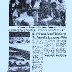 Oldies But Goodies # 3-- Drivers Bow For Prayer in Memory Of Fireball Roberts 1964