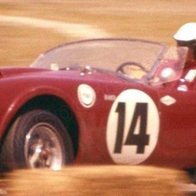 Fireball Roberts Cobra