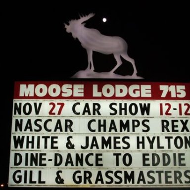 Emailing: Moose 0054