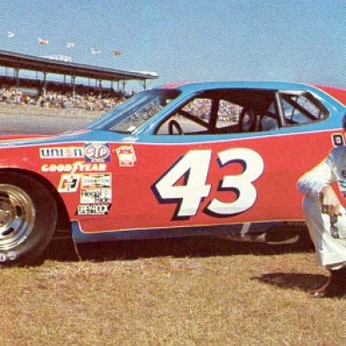 richard petty 1976