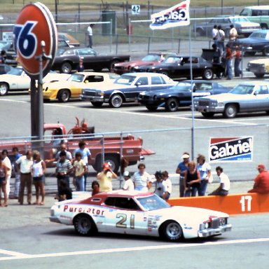 #21 David Pearson 1978 Gabriel 400