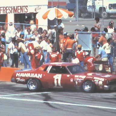 #1 Donnie Allison 1978 Gabriel 400