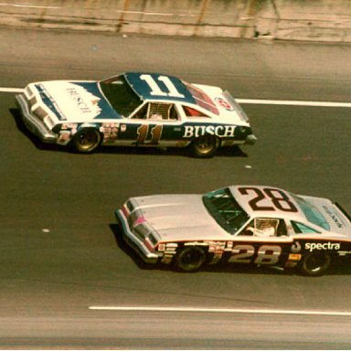 1979 CALE AND BUDDY 2