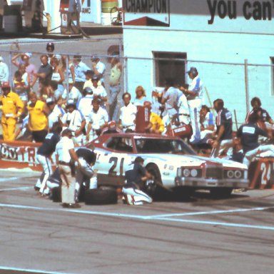 #21 David Pearson 1978 Champion Spark Plug 400.