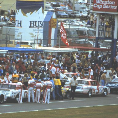 Bush Clash of 1984 @ Daytona