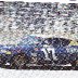 DAVID PEARSON