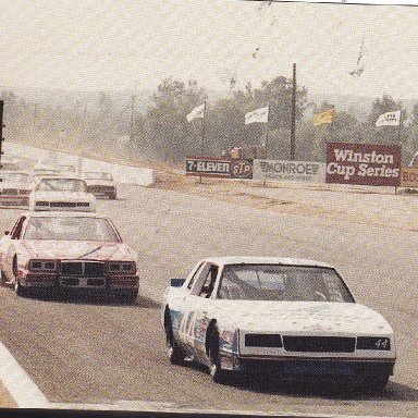 TERRY LABONTE