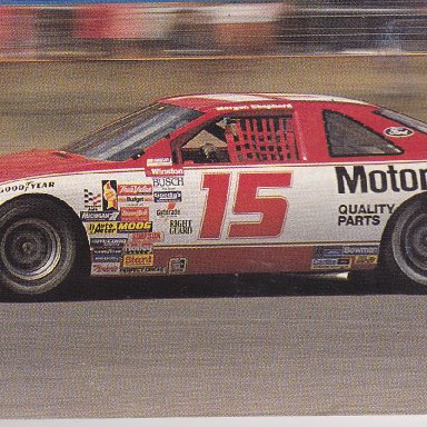 MORGAN SHEPHERD