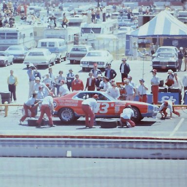 #43  Richard Petty  1975 Rebel 500 @ Darlington