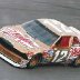 Bobby Allison