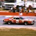 #2   Bobby Allison 1976 Cam 2 Motor Oil 400 @ Michigan