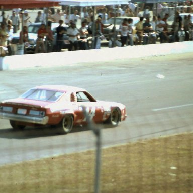 #14 Coo Coo Marlin 1976 Daytona 500