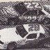 BOBBY & DAVEY ALLISON