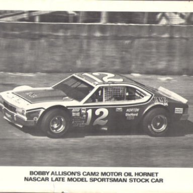 Bobby Allison-12