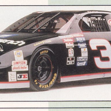 DALE EARNHARDT