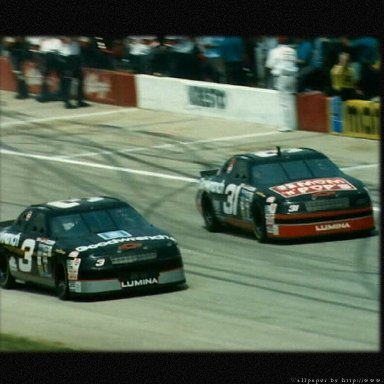 NEIL BONNETT & DALE EARNHARDT