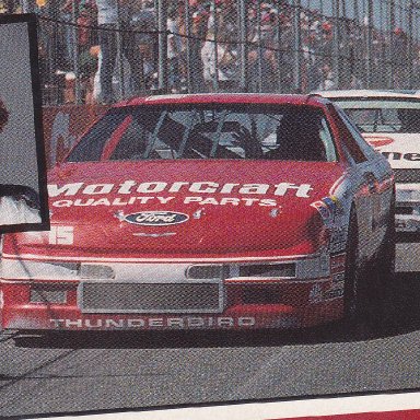 MORGAN SHEPHERD
