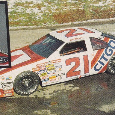 NEIL BONNETT