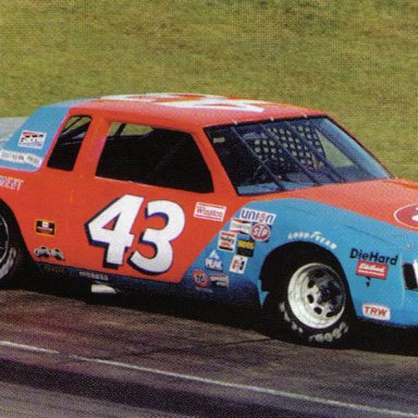 1981 Petty Buick