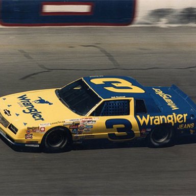 DALE EARNHARDT