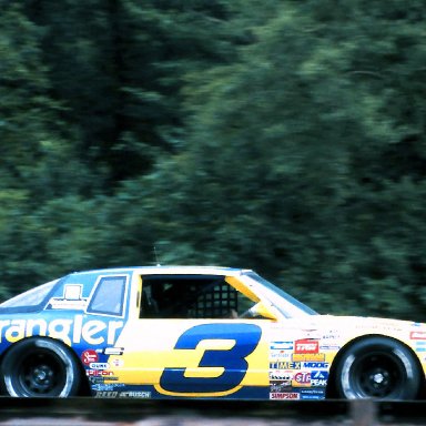 #3 Dale Earnhardt 1986 The Budweiser at the Glen